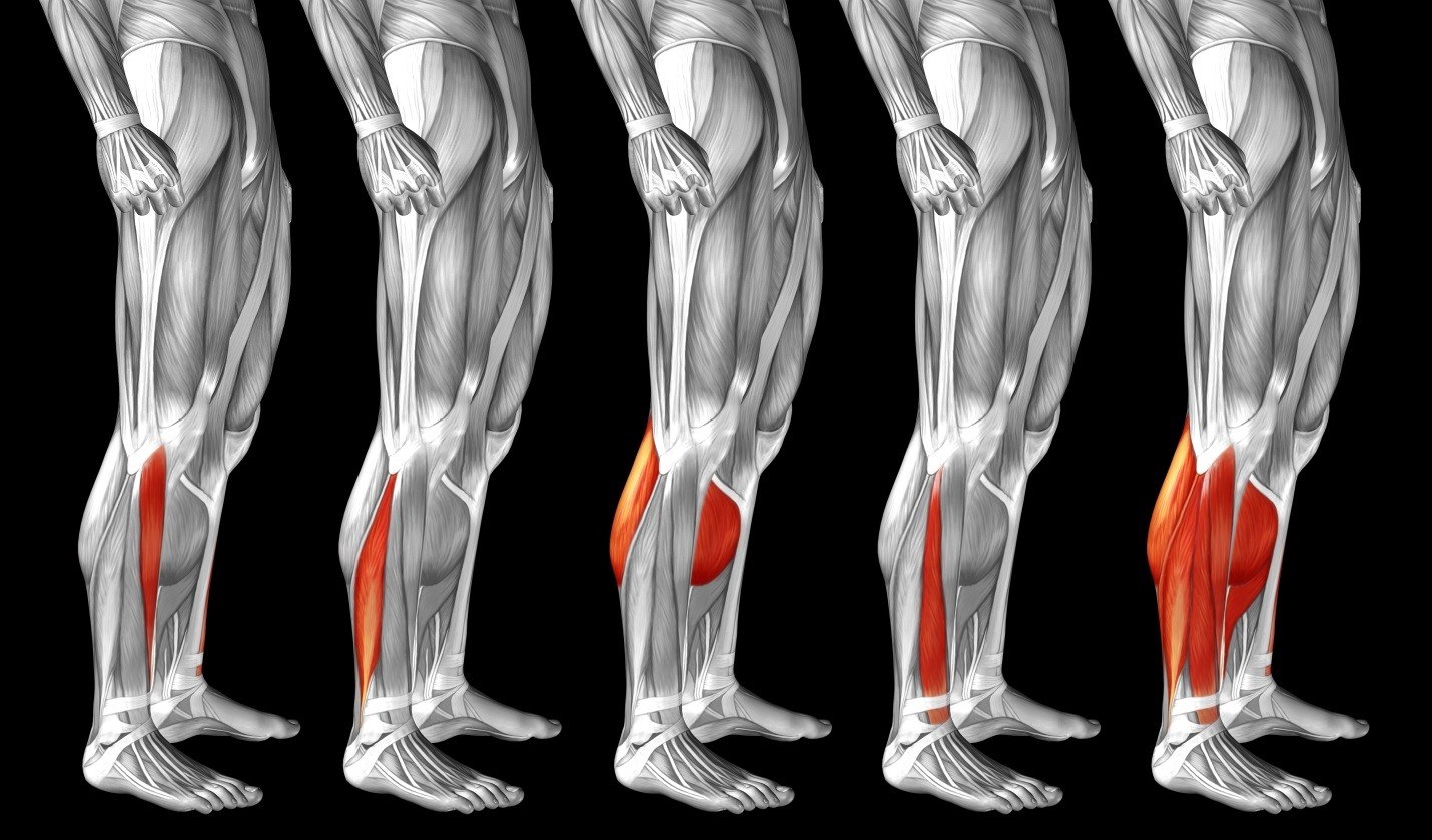 calf-tightness-phoenix-chiropractic-dr-jess