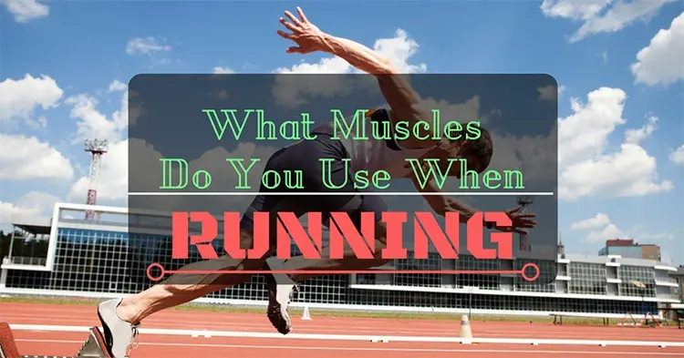 what-muscles-do-you-use-when-running - GoAheadRunner