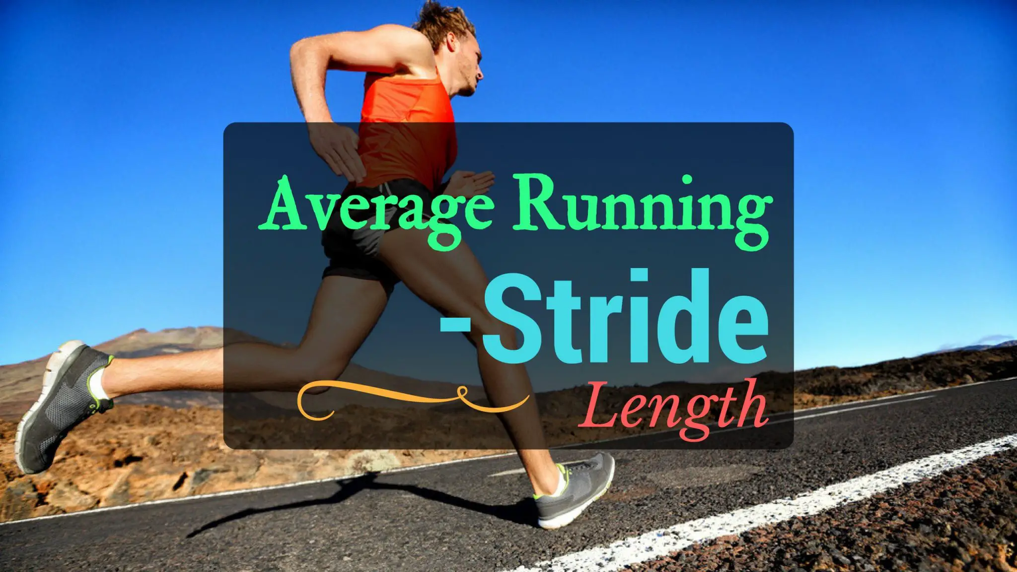 Average Stride Length Chart